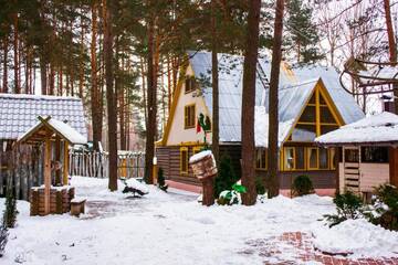 Фото номера Дом для отпуска Загородные дома Usadba Yolochki Holiday г. Krupenina 88